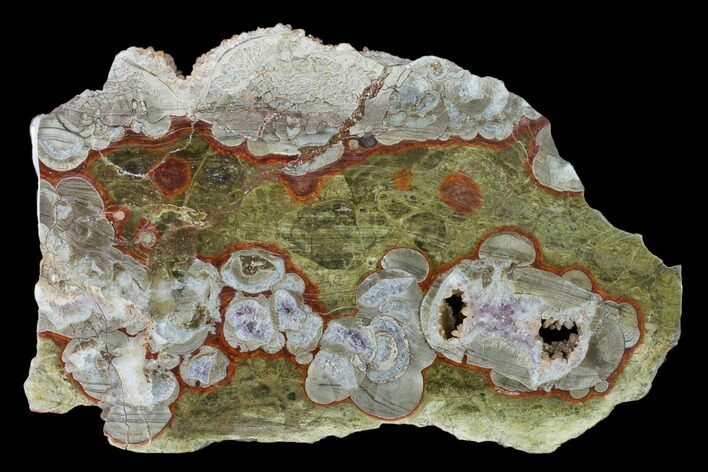 Polished Mushroom Jasper Section - Arizona #149907